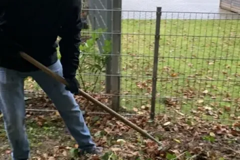 Hofgruppe - Die Helfer mit dem grünen Daumen – Bild 17