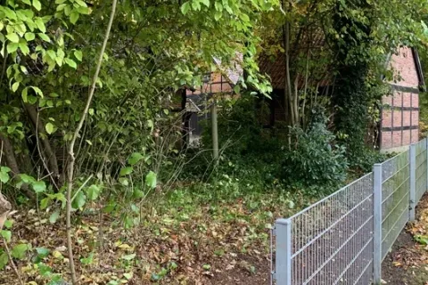 Hofgruppe - Die Helfer mit dem grünen Daumen – Bild 21