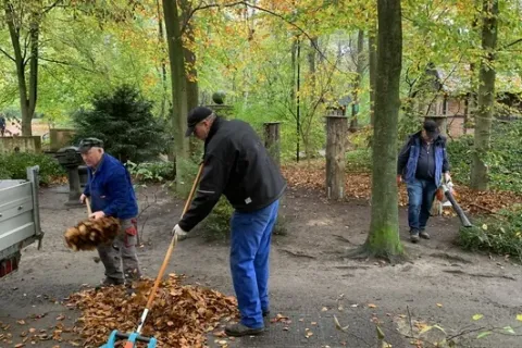 Hofgruppe - Die Helfer mit dem grünen Daumen – Bild 6