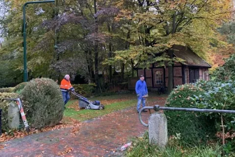 Hofgruppe - Die Helfer mit dem grünen Daumen – Bild 4