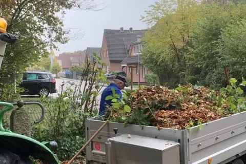 Hofgruppe - Die Helfer mit dem grünen Daumen – Bild 3