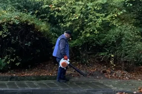 Hofgruppe - Die Helfer mit dem grünen Daumen – Bild 2